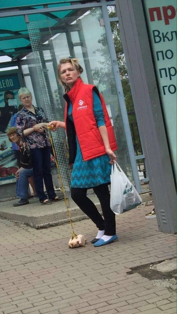 WTF Photos (48 pics)