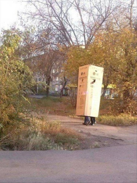 WTF Photos (48 pics)