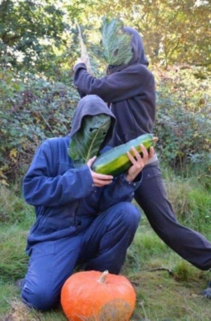 WTF Photos (48 pics)
