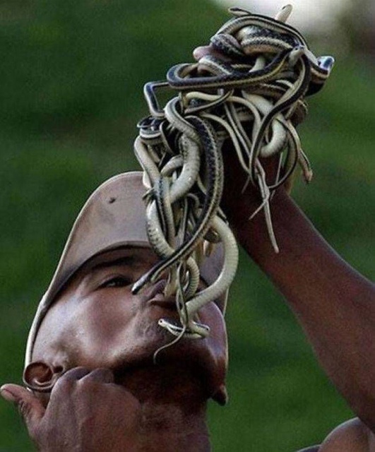 WTF Photos (48 pics)