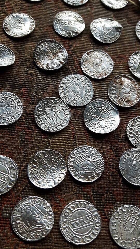 What An Amazing Find (6 pics)