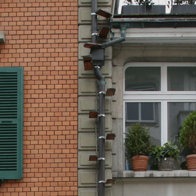 Cat Ladders In Switzerland (19 pics)