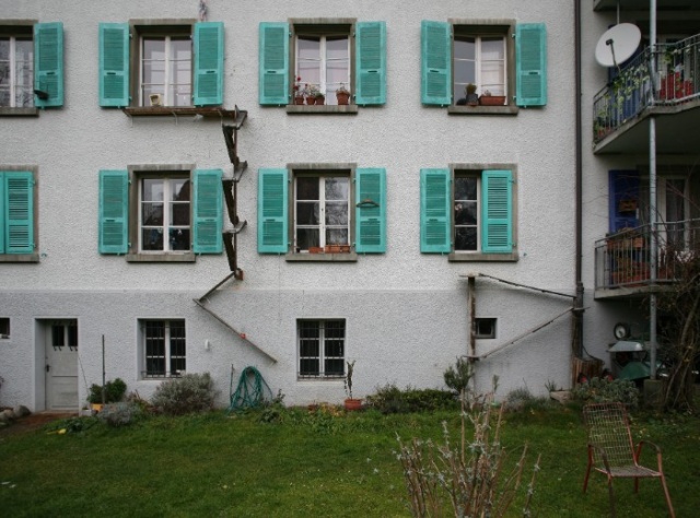Cat Ladders In Switzerland (19 pics)