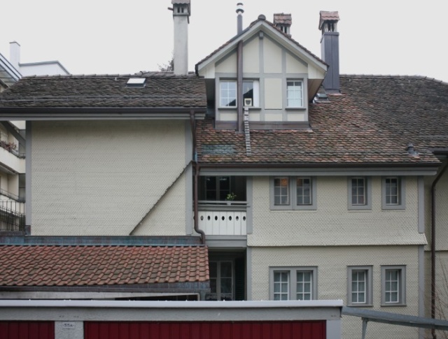 Cat Ladders In Switzerland (19 pics)