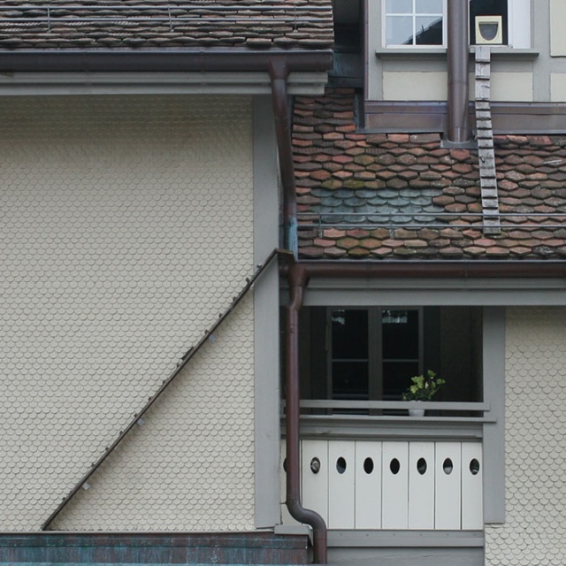 Cat Ladders In Switzerland (19 pics)