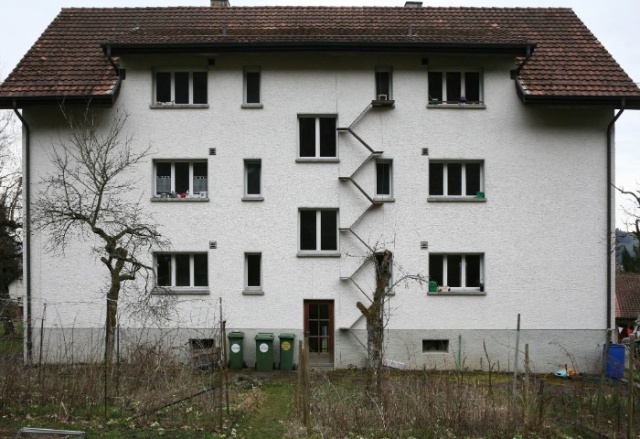 Cat Ladders In Switzerland (19 pics)