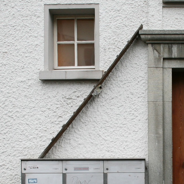 Cat Ladders In Switzerland (19 pics)