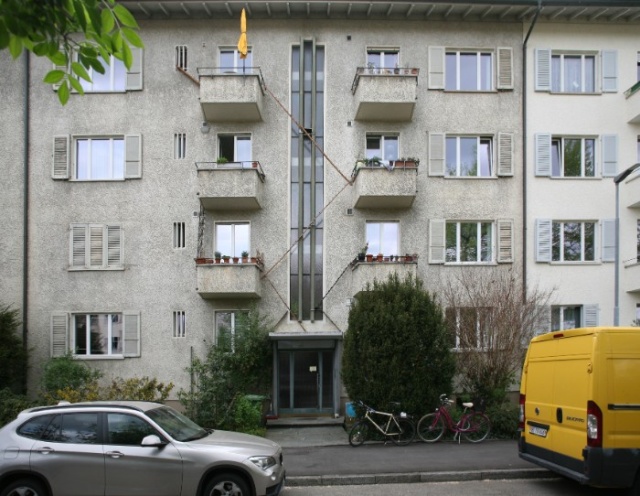 Cat Ladders In Switzerland (19 pics)