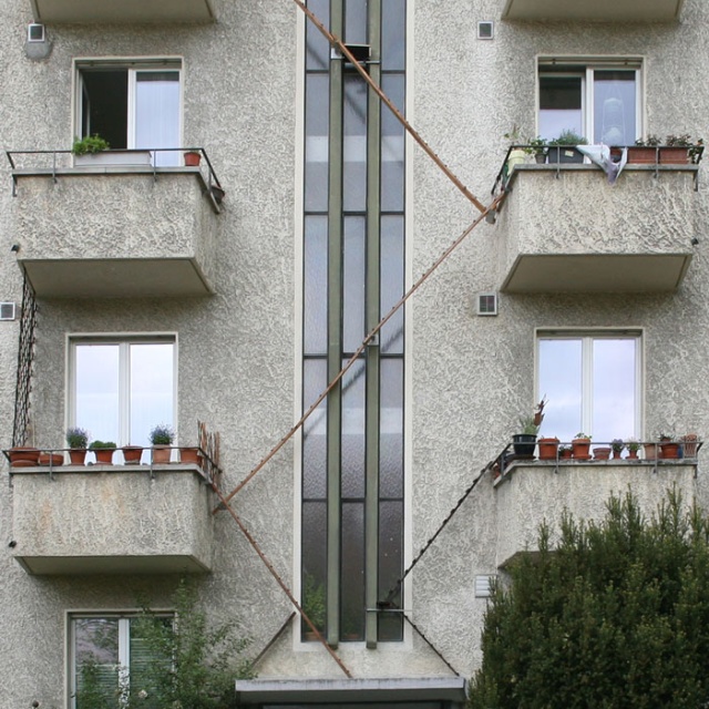 Cat Ladders In Switzerland (19 pics)
