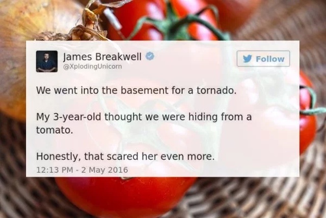 Funny Tweets (29 pics)