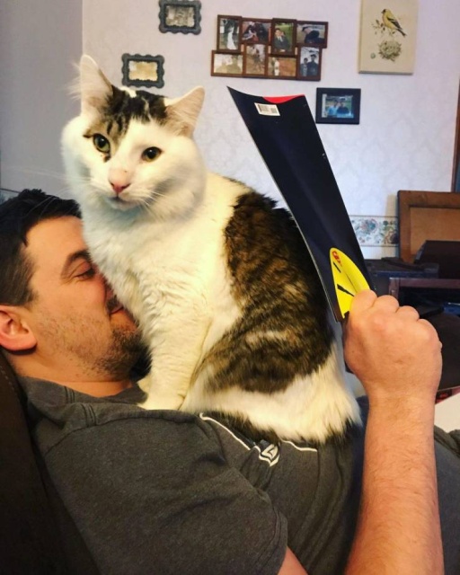 Funny Animals (53 pics)