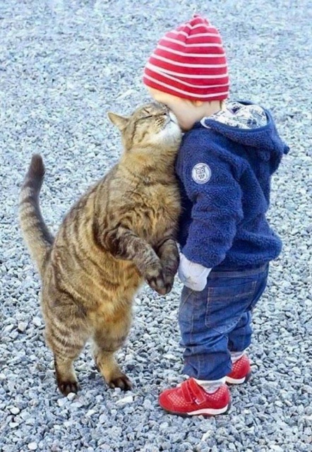 Funny Animals (53 pics)