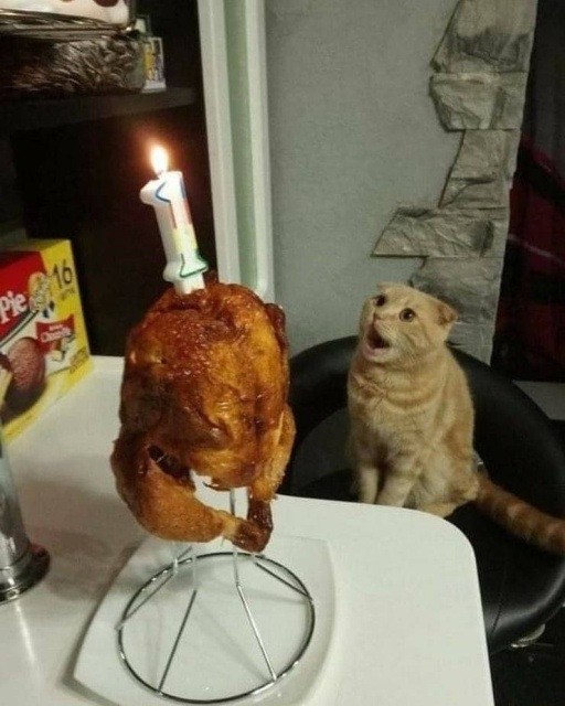 Funny Animals (53 pics)