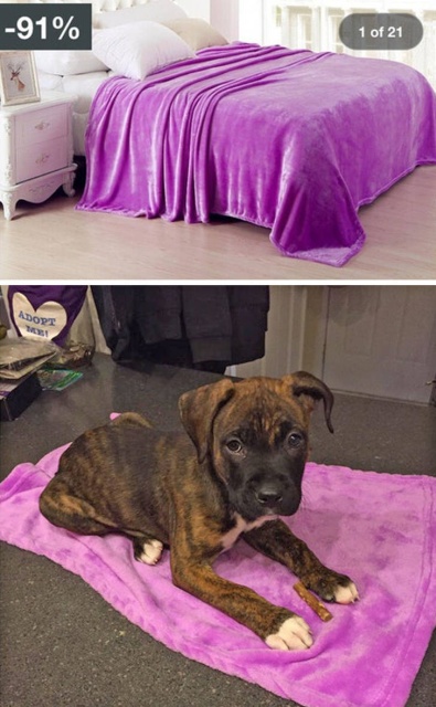You Didn't Expect This (49 pics)