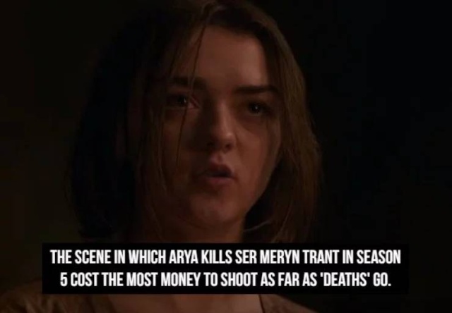 “Game Of Thrones” Facts Are Coming (22 pics)