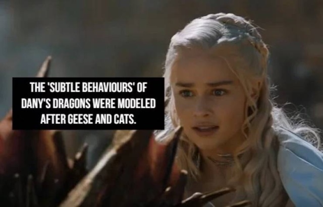 “Game Of Thrones” Facts Are Coming (22 pics)