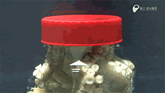 Nature Is Ruthless (24 gifs)