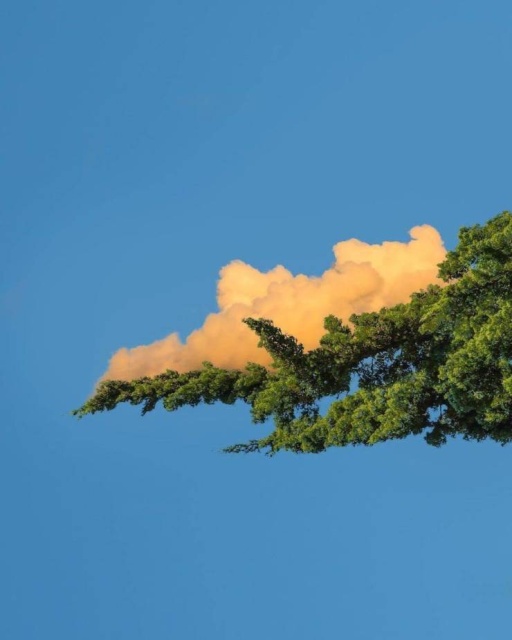 When A Picture Says More Than Just A Thousand Words (48 pics)