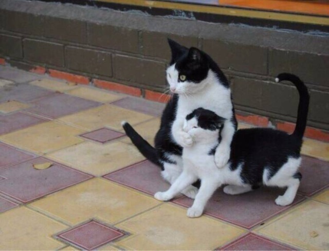 When A Picture Says More Than Just A Thousand Words (48 pics)
