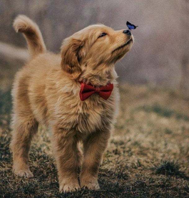 When A Picture Says More Than Just A Thousand Words (48 pics)