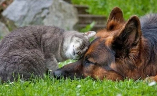 When A Picture Says More Than Just A Thousand Words (48 pics)