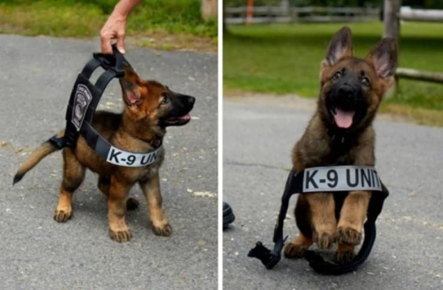 When A Picture Says More Than Just A Thousand Words (48 pics)