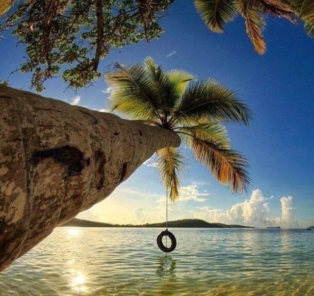 When A Picture Says More Than Just A Thousand Words (48 pics)