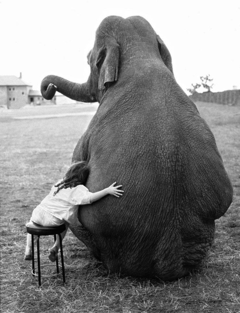 When A Picture Says More Than Just A Thousand Words (48 pics)