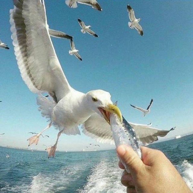 When A Picture Says More Than Just A Thousand Words (48 pics)