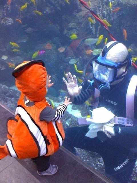 When A Picture Says More Than Just A Thousand Words (48 pics)