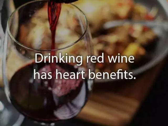 Health Benefits Of Alcohol (15 pics)