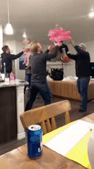 Acid Gifdump, February 26 (25 gifs)