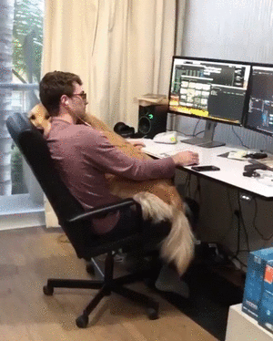 Acid Gifdump, February 26 (25 gifs)