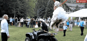 Acid Gifdump, February 26 (25 gifs)