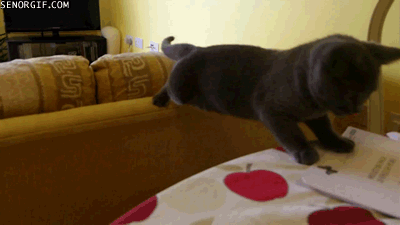 Acid Gifdump, February 26 (25 gifs)