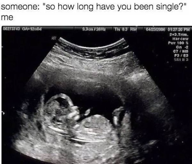 Memes About Being Single (28 pics)