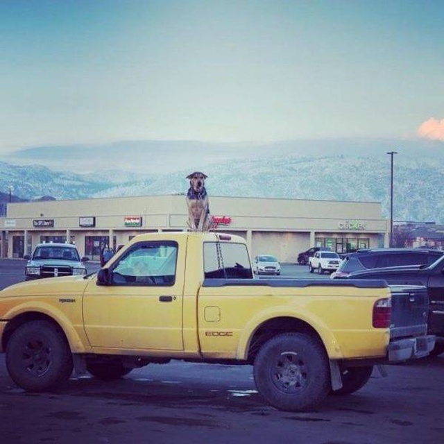 Acid Picdump (95 pics)