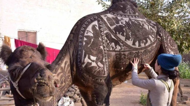 Acid Picdump (95 pics)