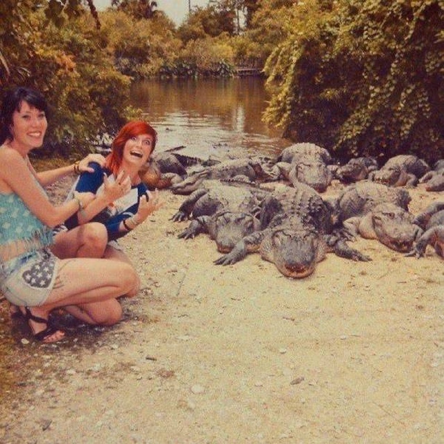 Acid Picdump (95 pics)