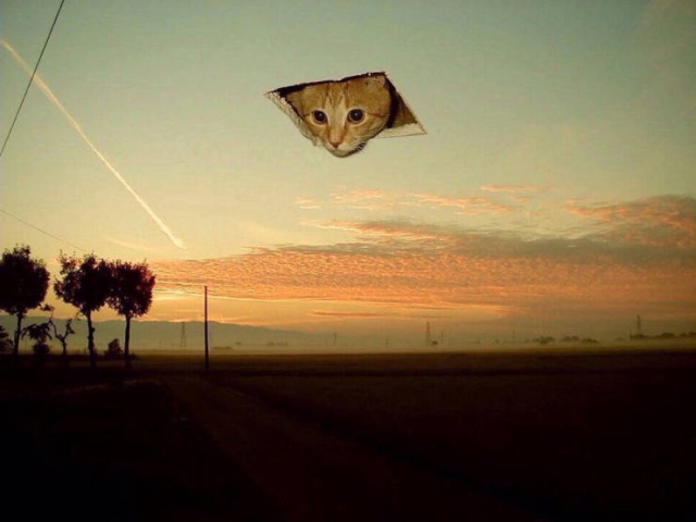 Acid Picdump (95 pics)
