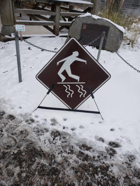 Acid Picdump (95 pics)