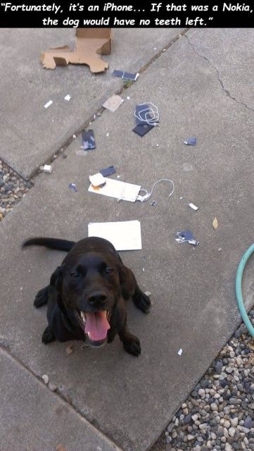 Sh*t Happens (40 pics)