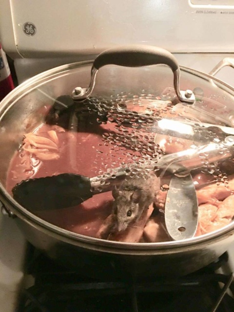 Sh*t Happens (40 pics)