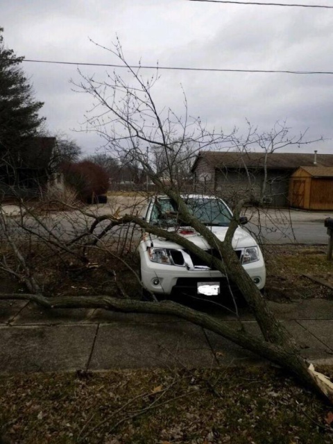 Sh*t Happens (40 pics)