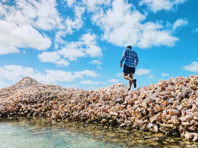 Conch Island – A Man-Made Island Built Out of Millions of Conch Shells (10 pics)