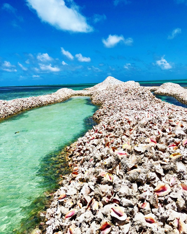 Conch Island A ManMade Island Built Out of Millions of Conch Shells