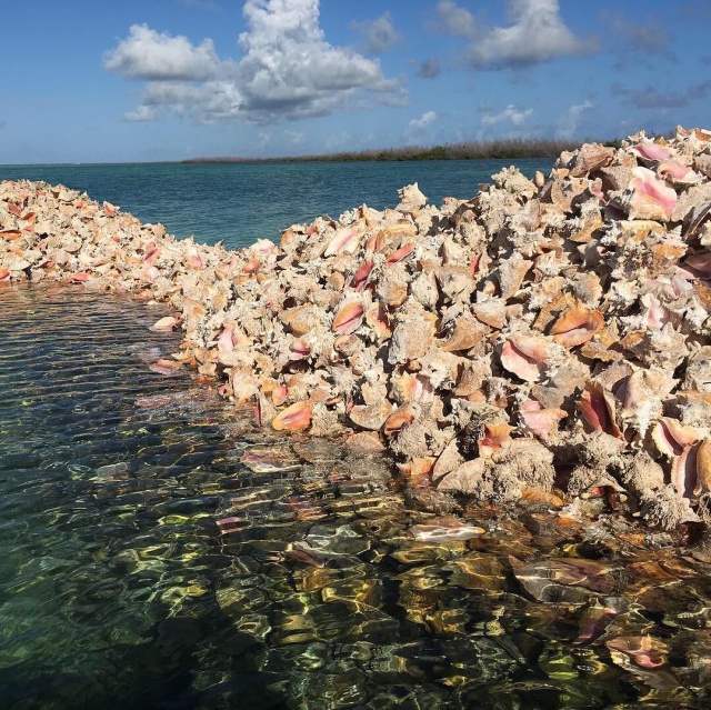 Conch Island – A Man-Made Island Built Out of Millions of Conch Shells (10 pics)