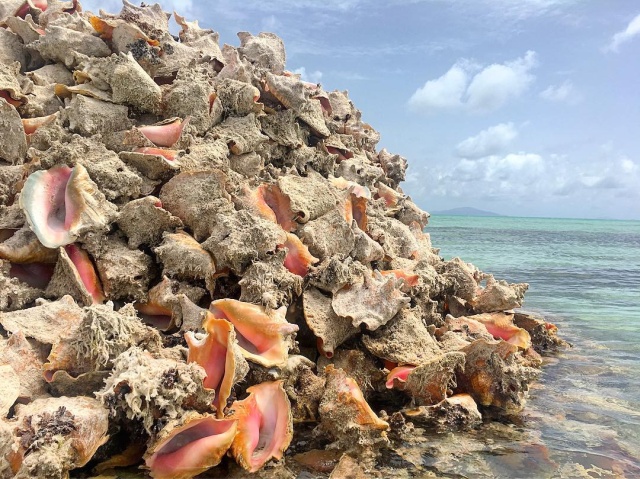 Conch Island – A Man-Made Island Built Out of Millions of Conch Shells (10 pics)