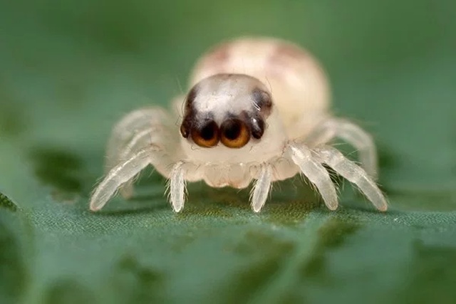Cute Or Scary (28 pics)