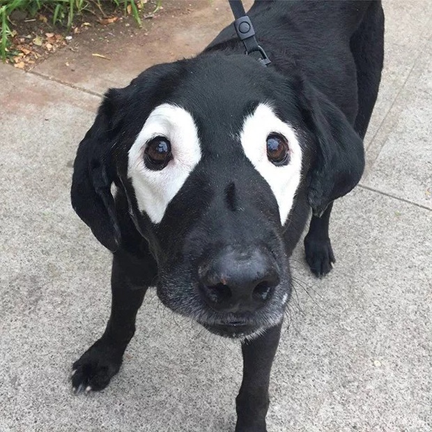 Cute Or Scary (28 pics)